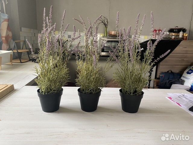 Икеа Лаванда Фейка в горшке 48 см - 3 шт