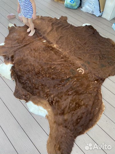 Шкуры коровья ковер