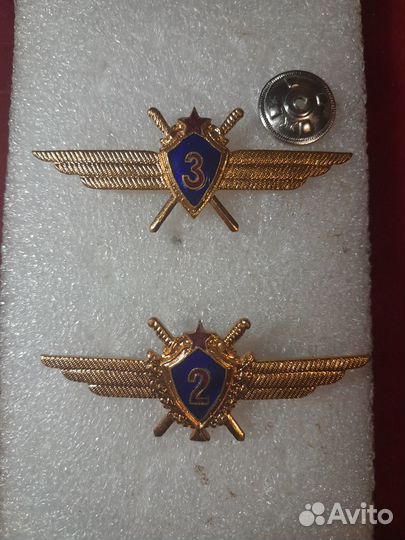 Знаки классности ввс