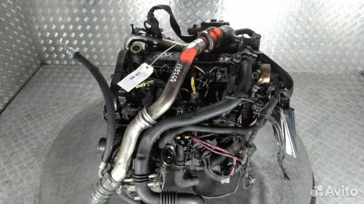 Двигатель Renault Clio 3 (05-09)