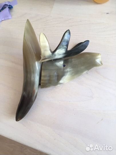 Лось из рога