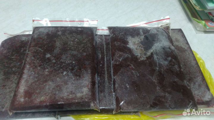 Аквариумные рыбки