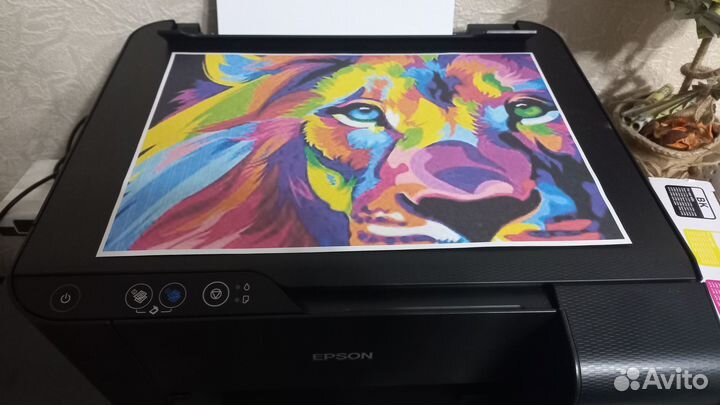 Принтер цветной печати мфу Epson L3100