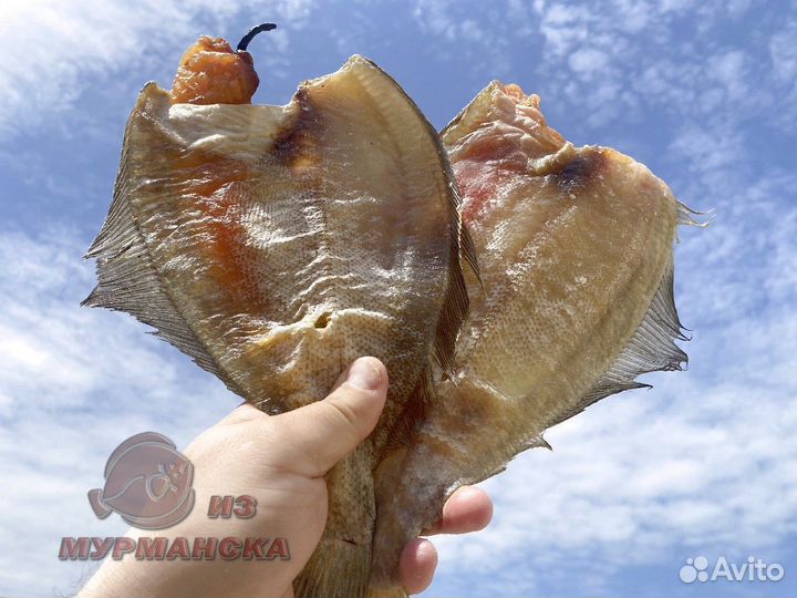 Ерш вяленый из Мурманска