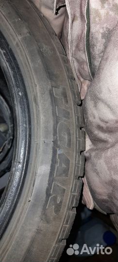 Tigar Winter 1 225/45 R17 94H