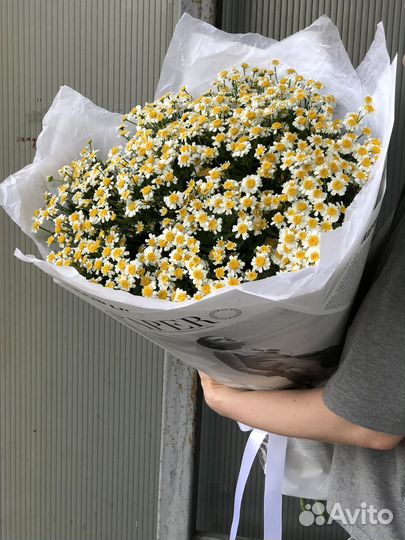 Букет ромашек