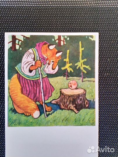 Открытки. Художник В. Литвиненко, 1958г