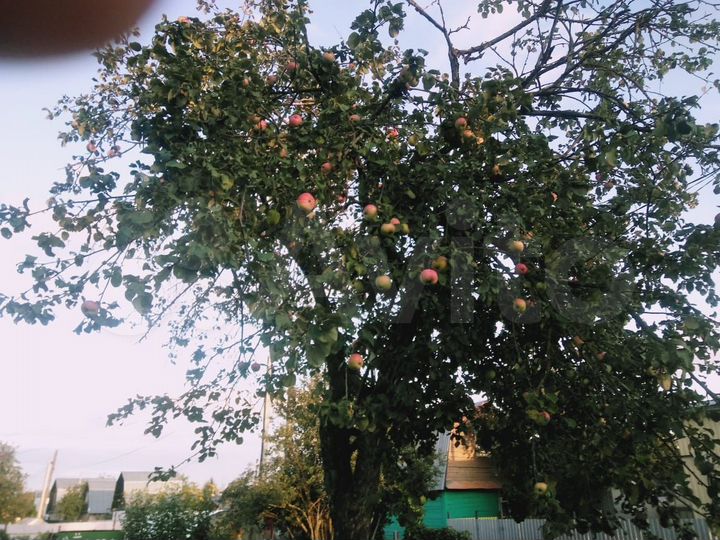 Дача 12 м² на участке 3 сот.