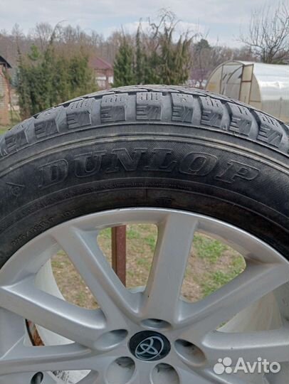 Dunlop Winter Maxx 2.25/65 R17
