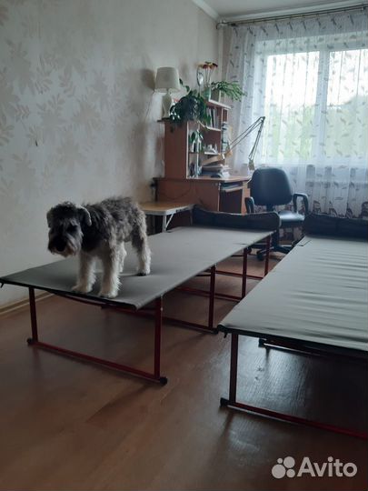 Раскладушка туристическая