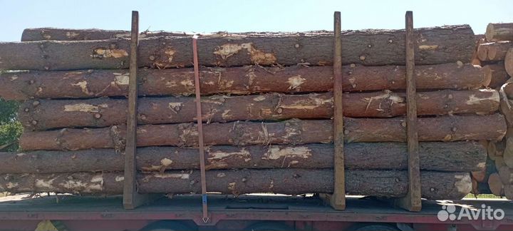 Продам лес кругляк пиловочник