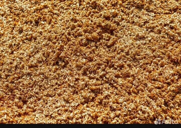 Пивная дробина