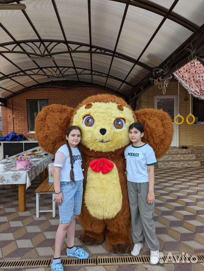 Аниматор/Белый Медведь,Чебурашка,Халк, Мишки Тедди