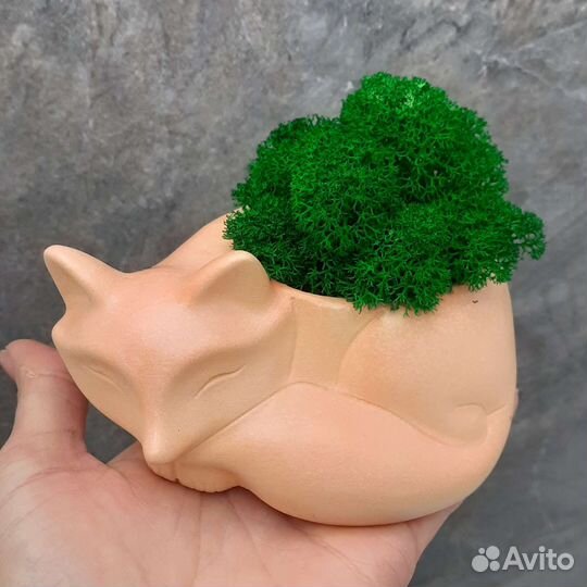 Кашпо лиса со стабилизированным мхом