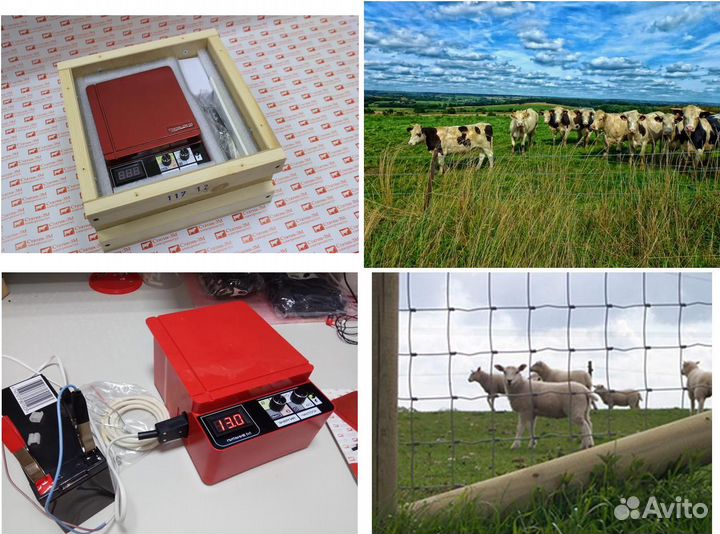 Электропастух для защиты посевов