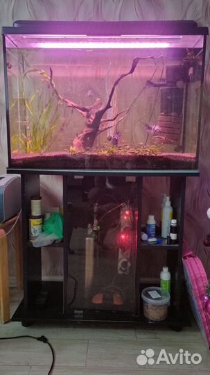 Аквариум с тумбой