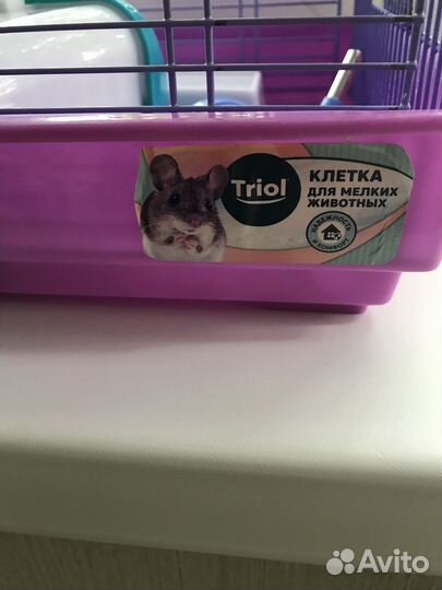 Клетка для грызунов бу