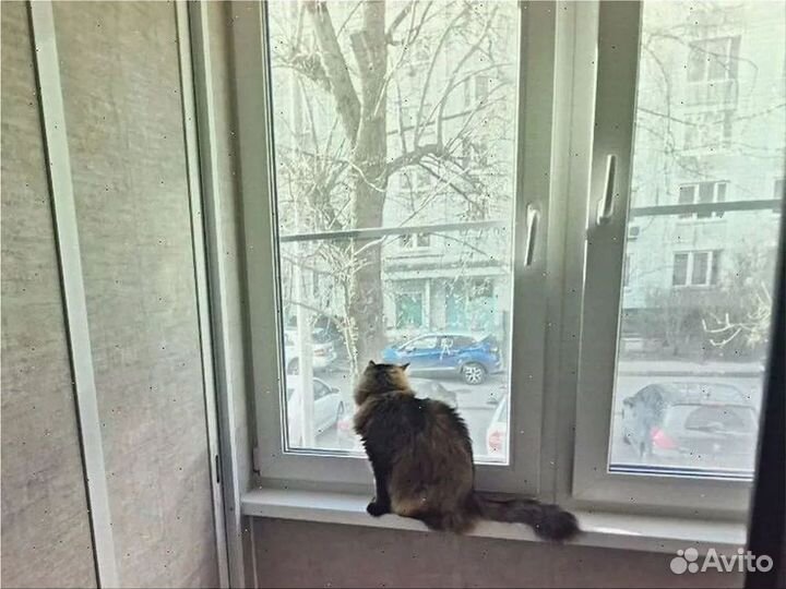 Окна пластиковые от производителя