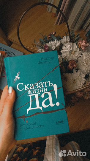 Сказать жизни Да