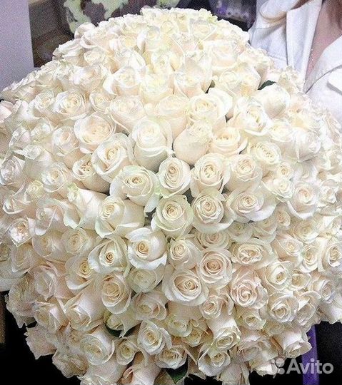 Высокие Высокие розы Гигантские розы Букеты Достав