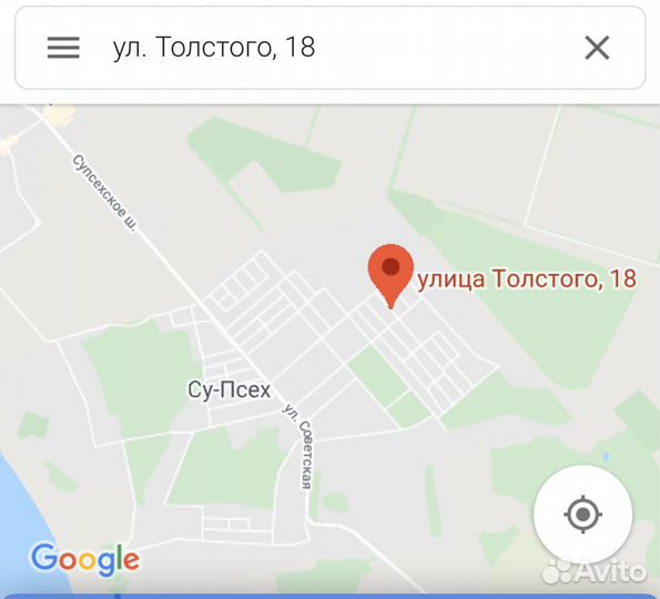 Плодовые деревья в контейнерах круглый год