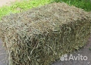 Сено в брикетах