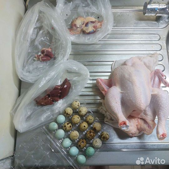 Курица домашняя, перепелиные яйца