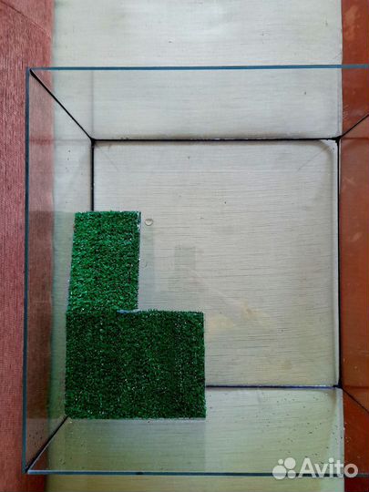 Террариум для черепахи