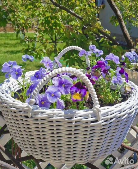 Кашпо и вазоны из ротанга