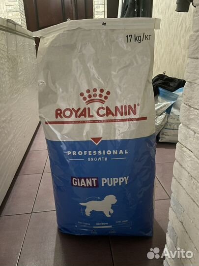 Корм для собак