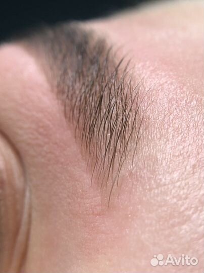 Брови Москва