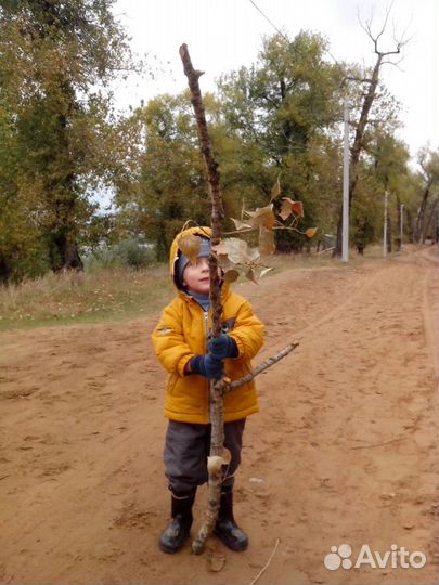 Костюм на мальчика 2-3 года весна-осень