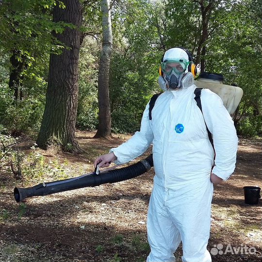 Дезинфекция от тараканов с гарантией