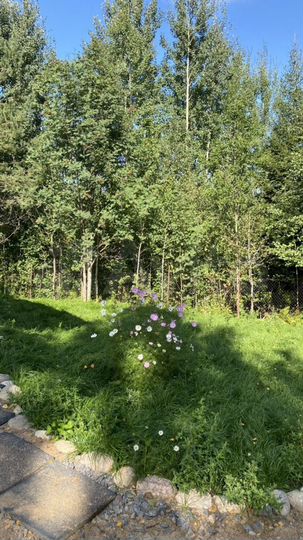 Коттедж 90 м² на участке 10 сот.