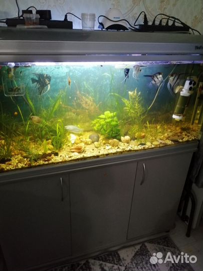 Украшение для аквариума