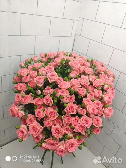 Букет корзина цветов куставая роза барбадос