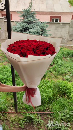 Крымская Роза 51 штука