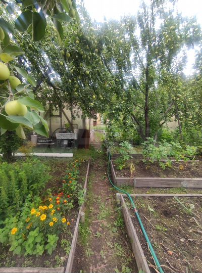 Участок 5 сот. (СНТ, ДНП)