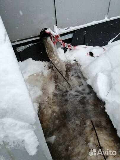 Прочистка канализации Устранение засоров