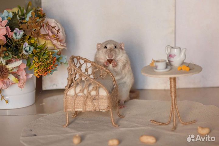 Реквизит для фотосессий