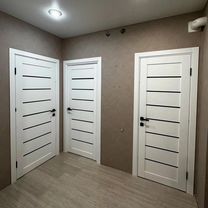 Установка межкомнатных дверей, Ашукино