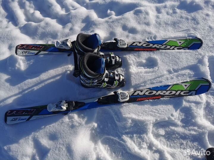 Горные лыжи