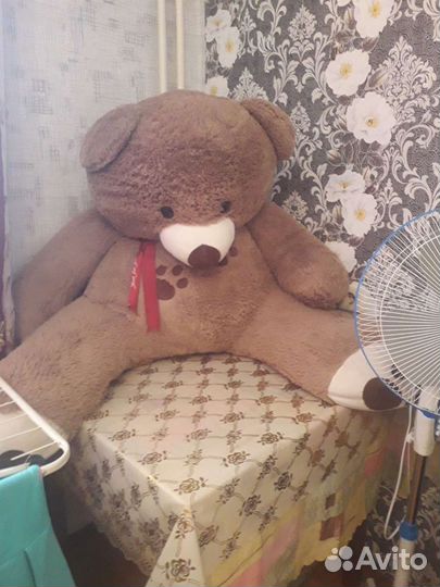 Медведь большой