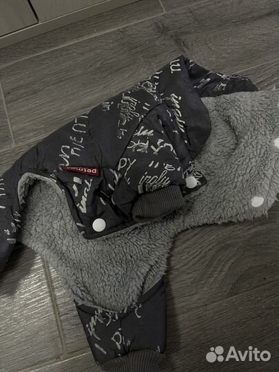 Одежда для собак