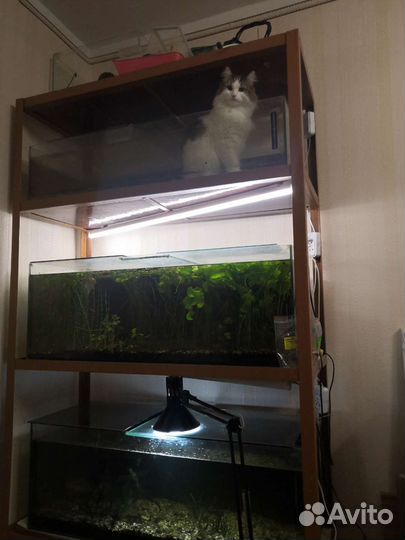 Аквариум