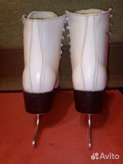 Коньки фигурные Граф монтана 40 размер