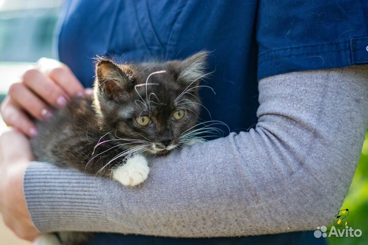 Милашка Уля ищет семью