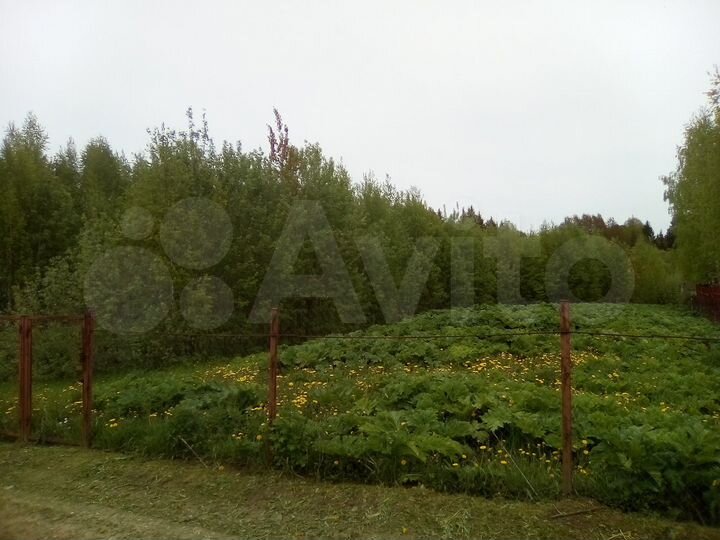 Участок 25 сот. (ИЖС)