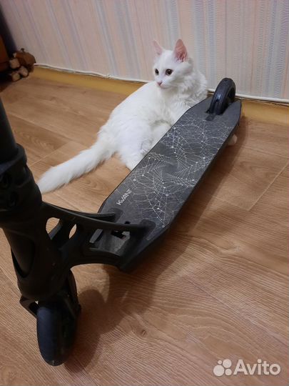 Трюковой самокат Tech Team