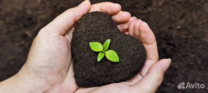 Торф, Торфогрунт с доставкой